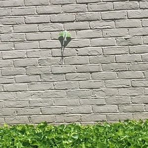 Meet your Posher, Veronica